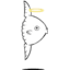 Sunfish Jones