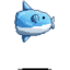 Young Man Mola (Enemy)