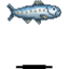 Sardine (Enemy)