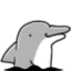 Dolphina