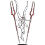 Unit-13's False Evolution