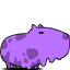 Zapy