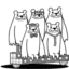 Bears Be Bare