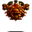 SOL DAE ROKKER (Enemy)